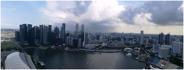 记Stake管理进步奖获得者新马六天游